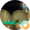 Villa Noa - SkySea Resort Naucleros Albanese Avatar